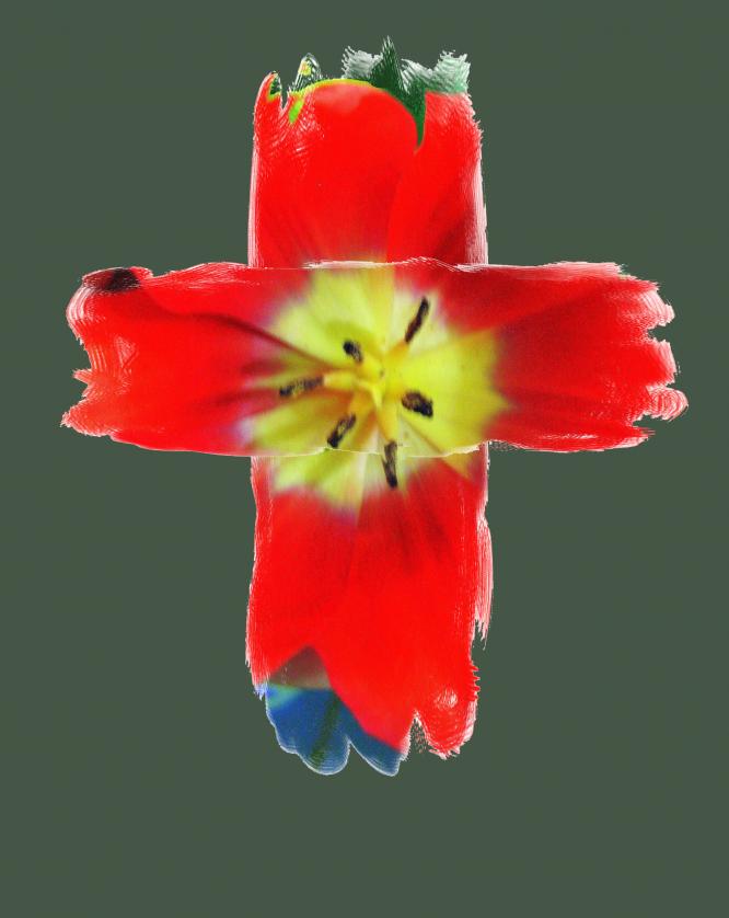 Colors of the Resurrection - Olga Osi - Click to enlarge