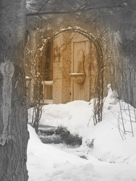 Through the gate - Olga Osi
