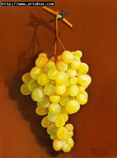 La grappe de raisin - Jean-Marie Bardyn