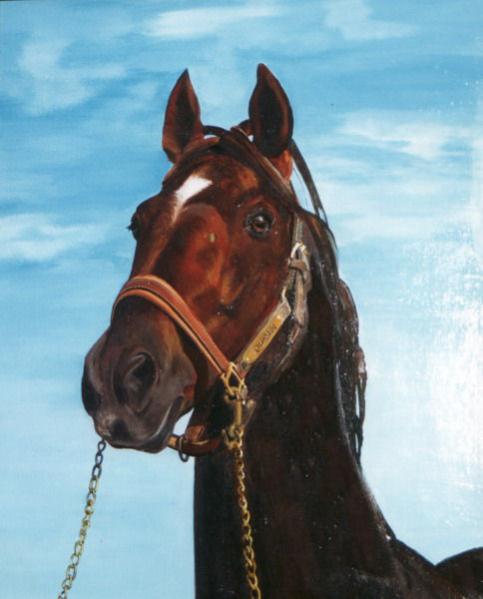 Ourasi - Jean-Marie Bardyn