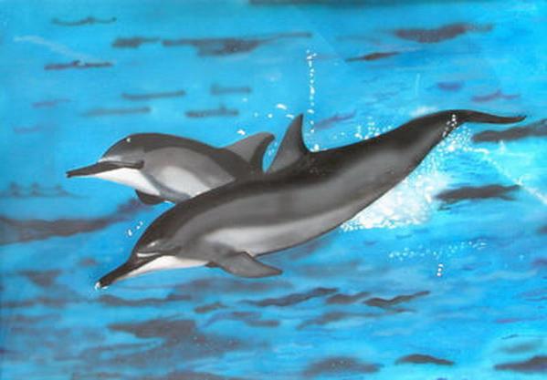 Les Dauphins - Jean-Marie Bardyn - Click to enlarge