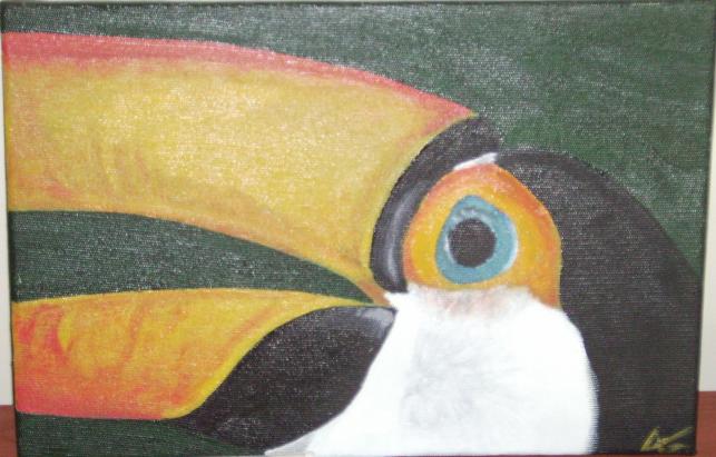 Le toucan d'Iguacu - Amandine Goffart Petillon - Cliquer pour afficher en grand