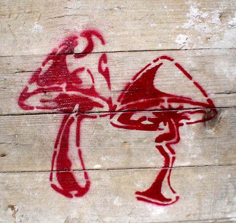 Fungi - Viktor Hoffmann