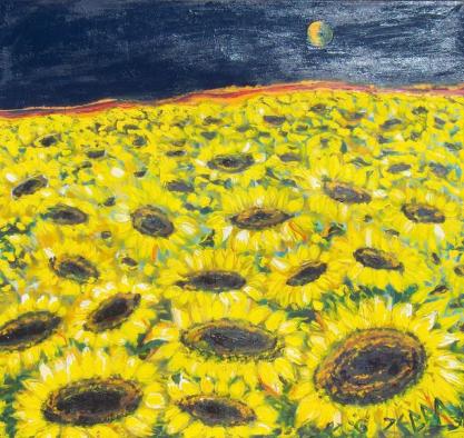 TOURNESOLS - Zebra
