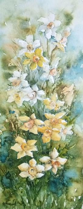 Jonquilles - Marie-Charlotte Houpeurt-Chauffeté