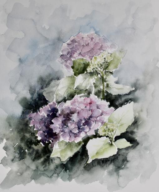 Fleurs d'hortensia - Marie-Charlotte Houpeurt-Chauffeté