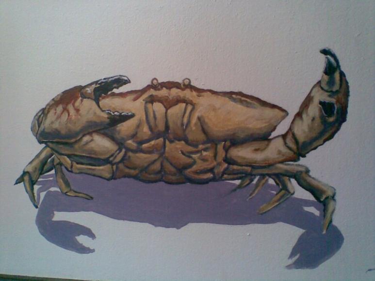 CRABE 1 - Patrick Rougeron - Click to enlarge
