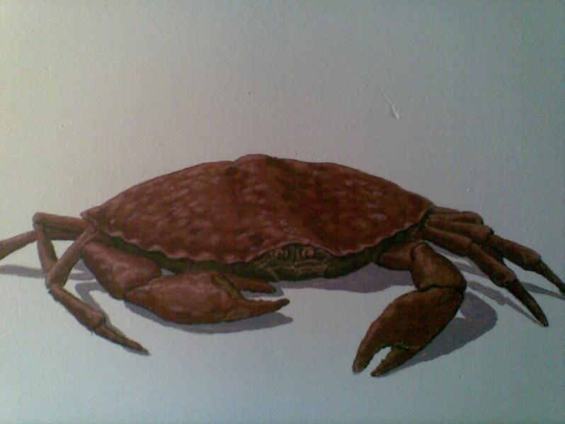 CRABE - Patrick Rougeron - Click to enlarge