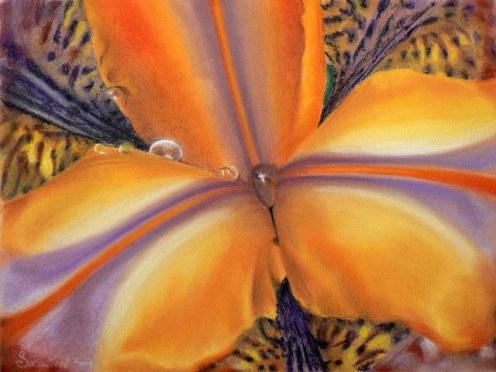 Flower - Jana Sadrik
