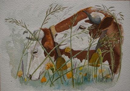 Monbéliardes - Bernadette Marechal