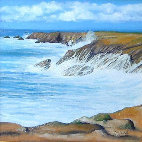 Côte sauvage - Fran Zainal