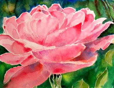 Rose - Michel Constant