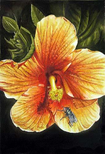 Flower - John Baselmans