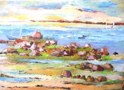 Les algues - Henri Valachman
