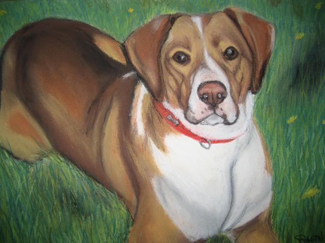 Chien - Nancy Robert - Cliquer pour afficher en grand