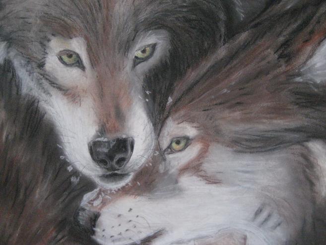 Loups - Nancy Robert - Cliquer pour afficher en grand