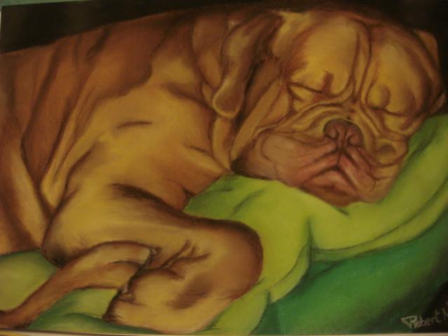 Dog de Bordeaux - Nancy Robert - Click to enlarge