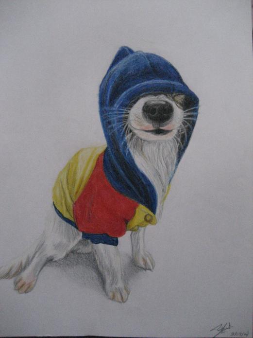 Dog Hip Hop - Nancy Robert