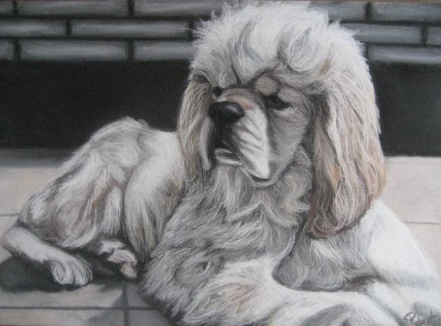 Cocker Américain - Nancy Robert - Click to enlarge