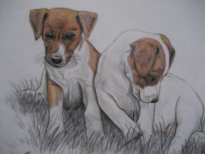Jack Russel - Nancy Robert - Cliquer pour afficher en grand