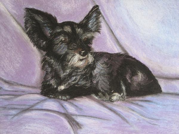 Tachi - Nancy Robert - Click to enlarge