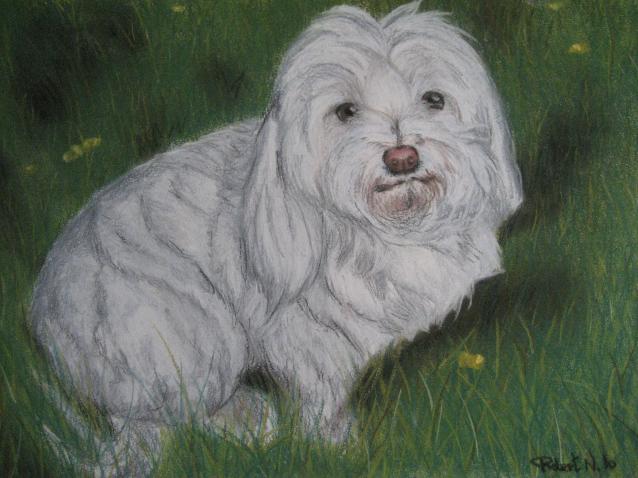 Valentin - Nancy Robert - Click to enlarge