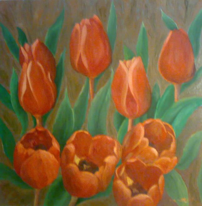 tulips 3 - Majd Kayali - Click to enlarge