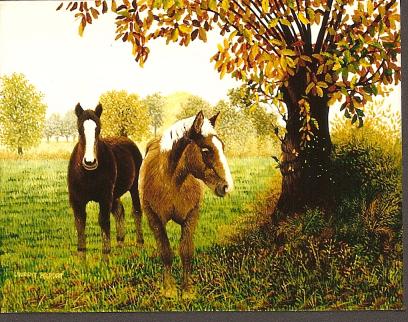 peinture pa 28 - Laurent Pradat