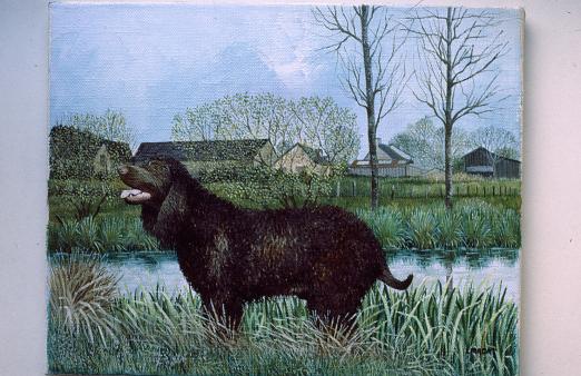 peinture pa 39 - Laurent Pradat