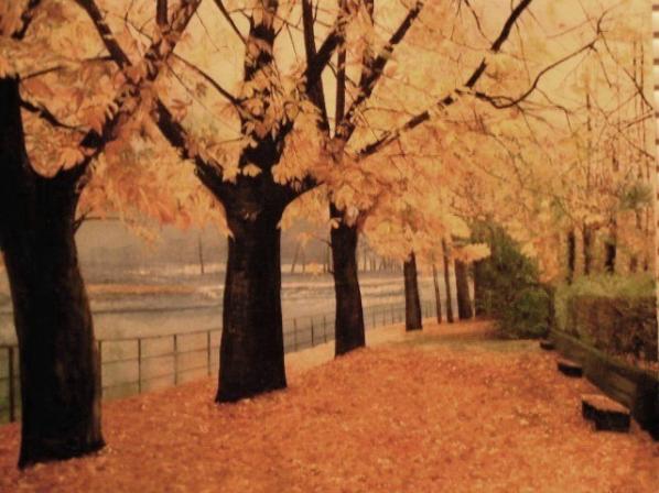 Welcome to my Fall - Paul-George Nerses - Click to enlarge