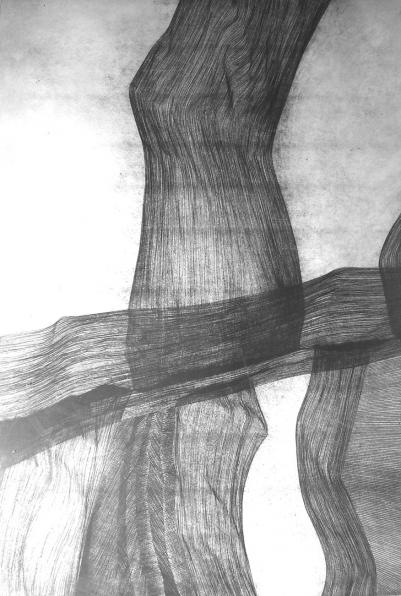 silhouette - Hervé Sachy