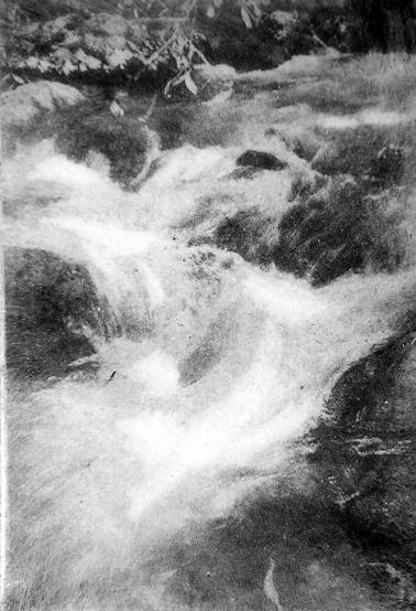 torrent - Hervé Sachy