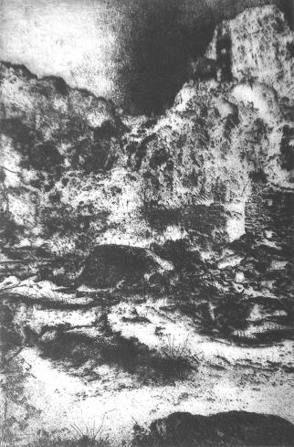 paysage - Hervé Sachy
