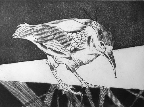 early bird - Hervé Sachy