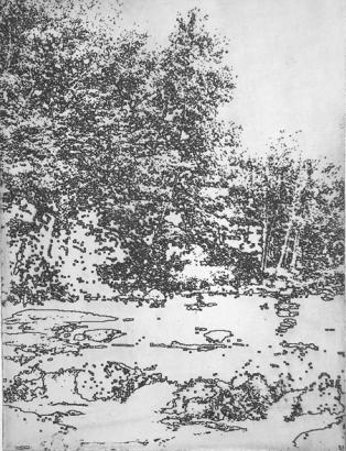 paysage hiver - Hervé Sachy