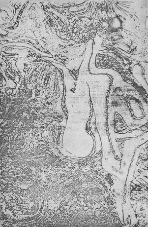 nue - Hervé Sachy