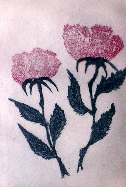 roses - Hervé Sachy