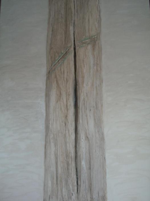 Arborétum 3 - Nicole Thernisien