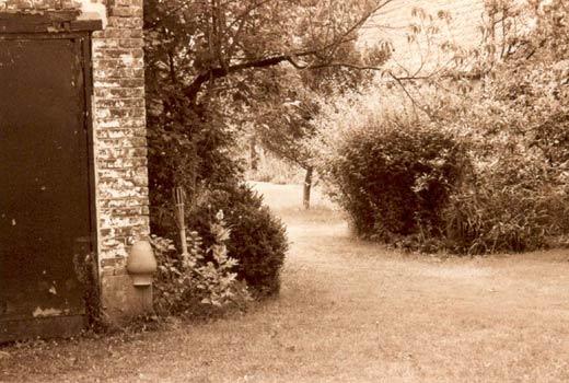 A small yard - Olga Panfilova