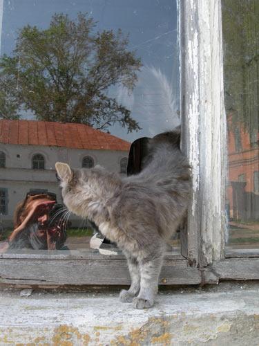 Dialogue - Olga Panfilova