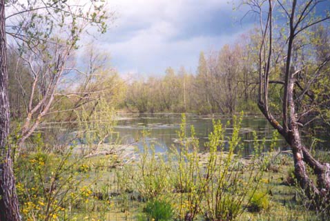 Izvara-1 - Olga Panfilova