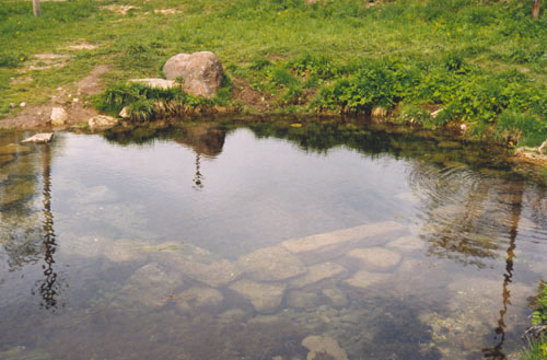 Izvara-3 - Olga Panfilova