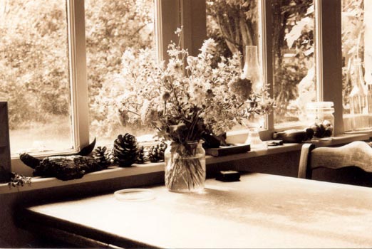 July morning - Olga Panfilova