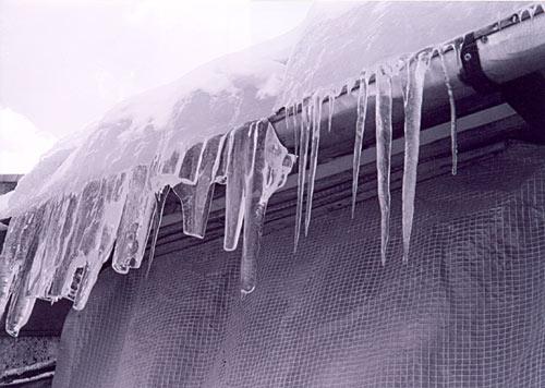 March - Olga Panfilova