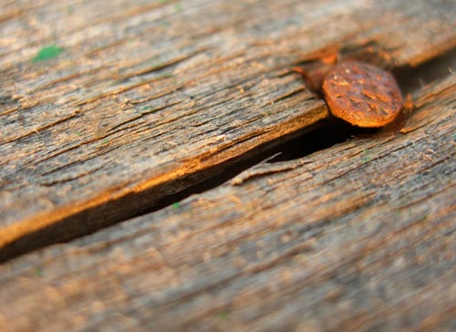 Old house - Olga Panfilova