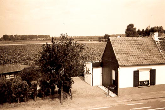 Siesta - Olga Panfilova