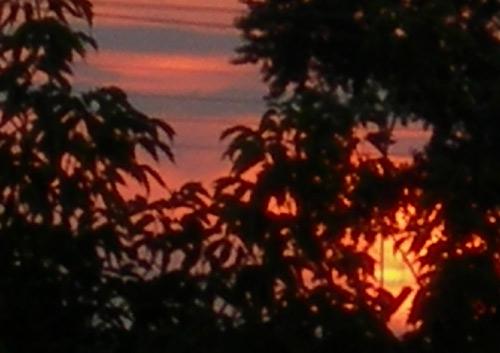 Sundown - Olga Panfilova