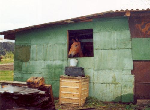 Thirst - Olga Panfilova