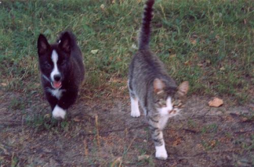 With Friend - Olga Panfilova