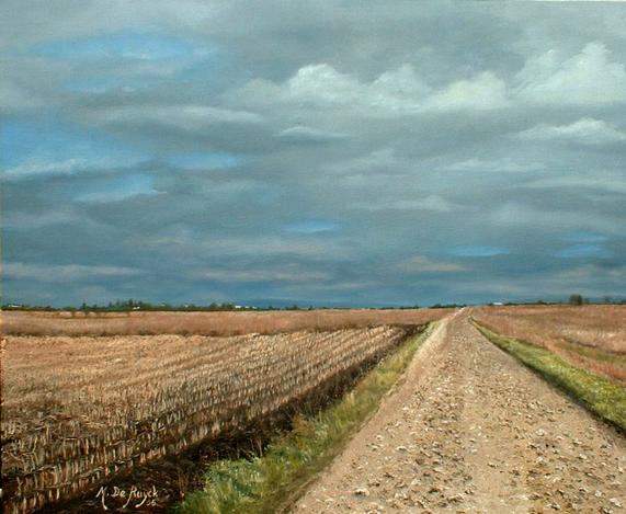 les chaumes - Michel de Ruyck